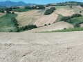 terre-rinforzate-sanlorenzoincampo8